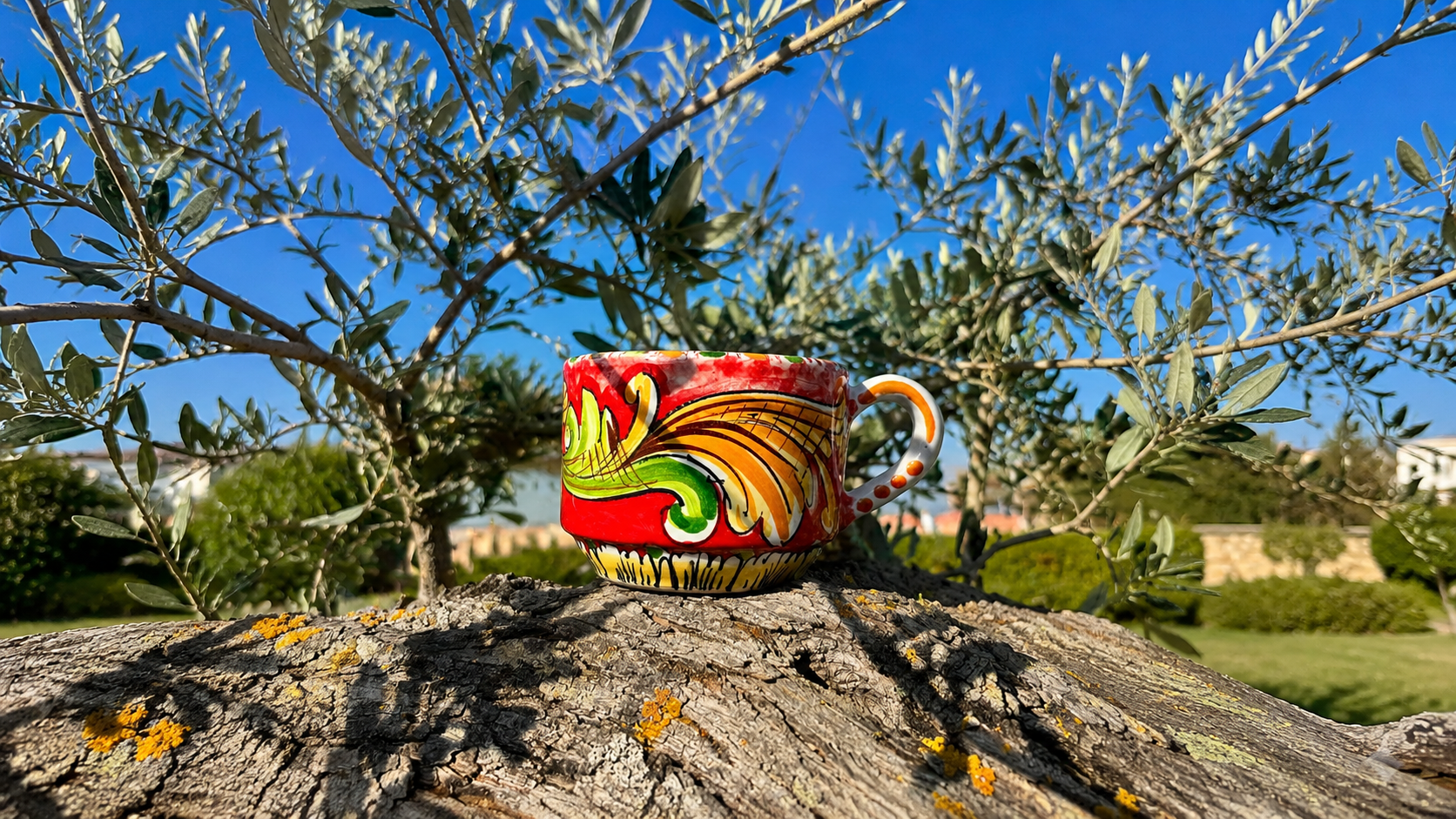 Decorative ceramic cup with a colorful design on a tree stump with an olive tree in the background.